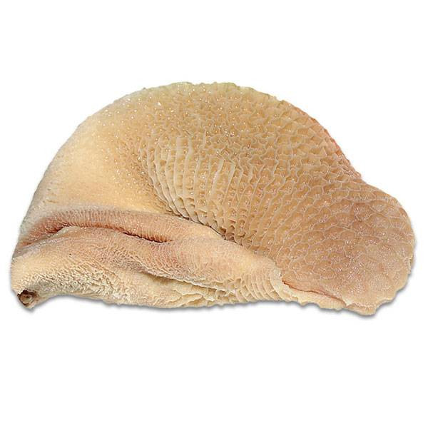 Beef Intestine (Beef Bot/Bhuri)