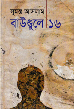 বাউণ্ডুলে ১৬