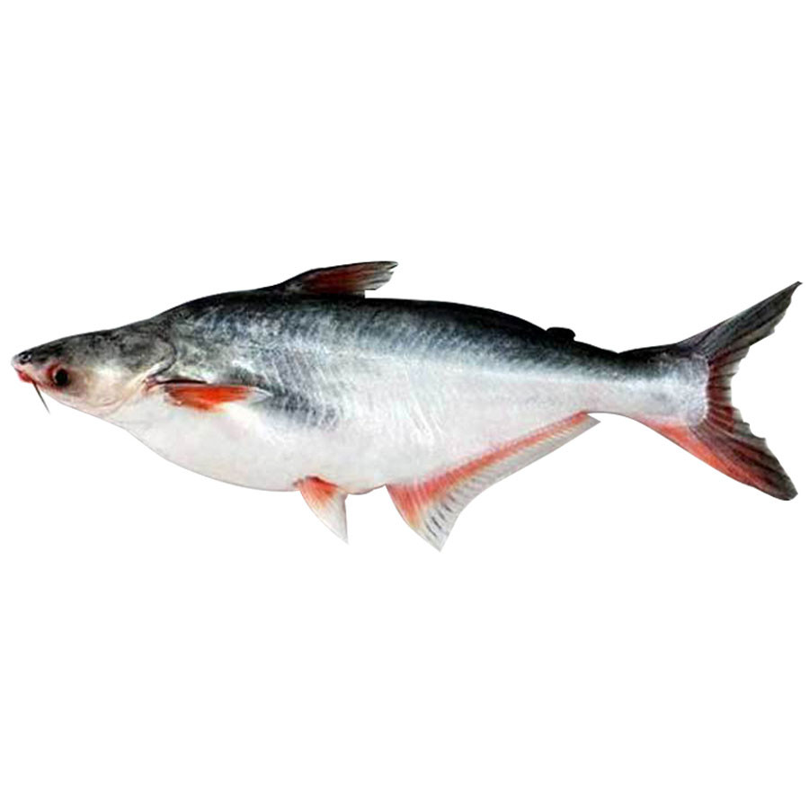 Pangas Fish 1 Kg Ready To Cook
