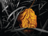 মা বাবার অবাধ্যতার পরিণাম