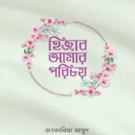 হিজাব আমার পরিচয় (পেপারব্যাক)